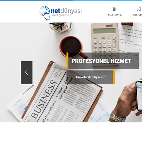 Şirket Web Sitesi - net-003